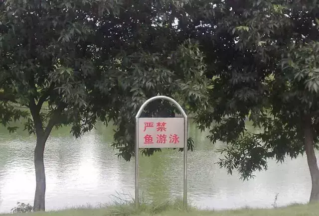 這一些沙雕招牌廣告標語(yǔ)，讓我站路邊笑了半天停不下來(lái)23