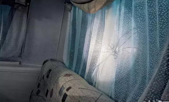最果的室外標識！創(chuàng  )意是靈魂35