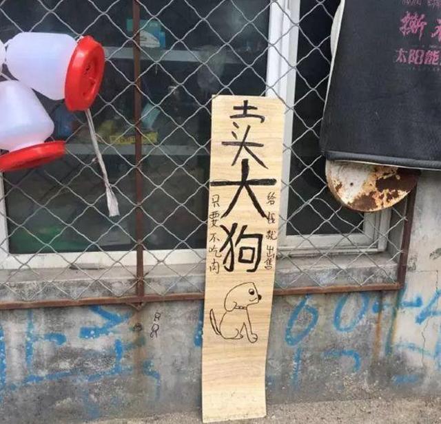 中國街頭跨街廣告牌有多野？瞧瞧這一些讓人笑掉大牙的牌子名20